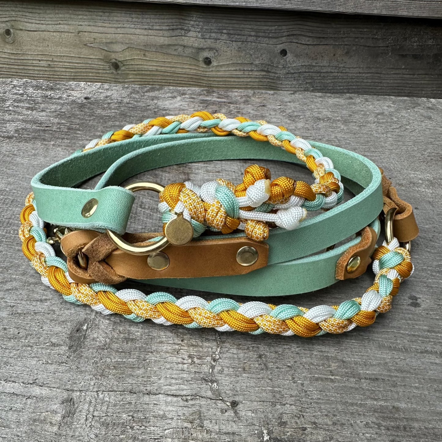 Leine Leder/Paracord