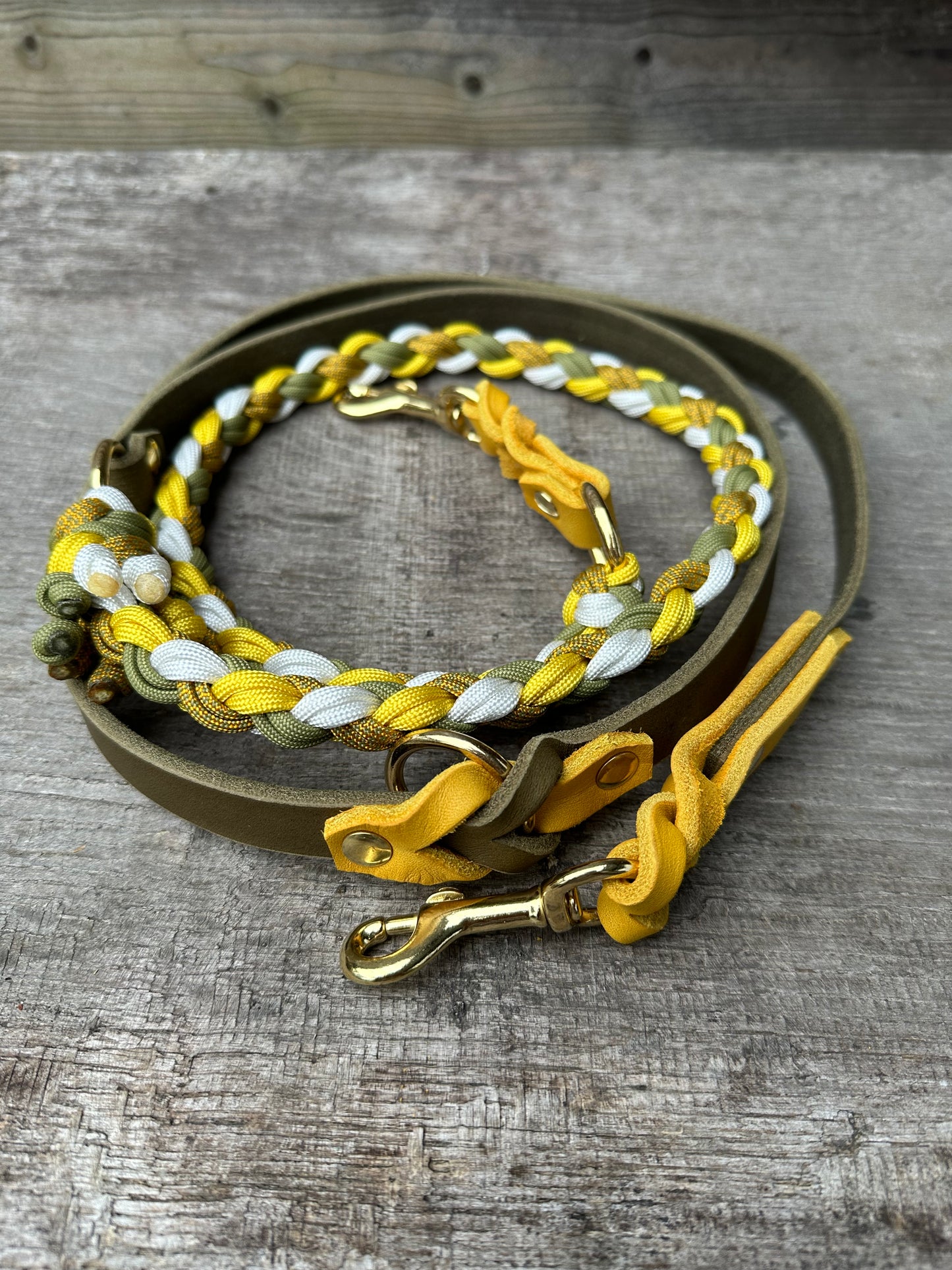 Leine Leder/Paracord