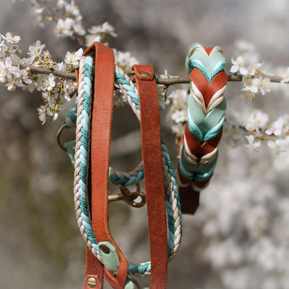 Set Spring