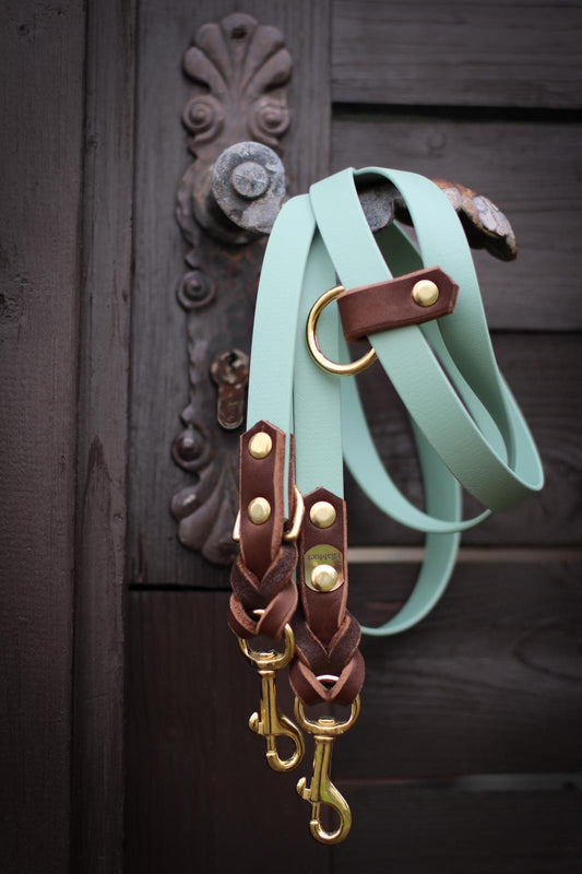 BiothaneXLeder Leine