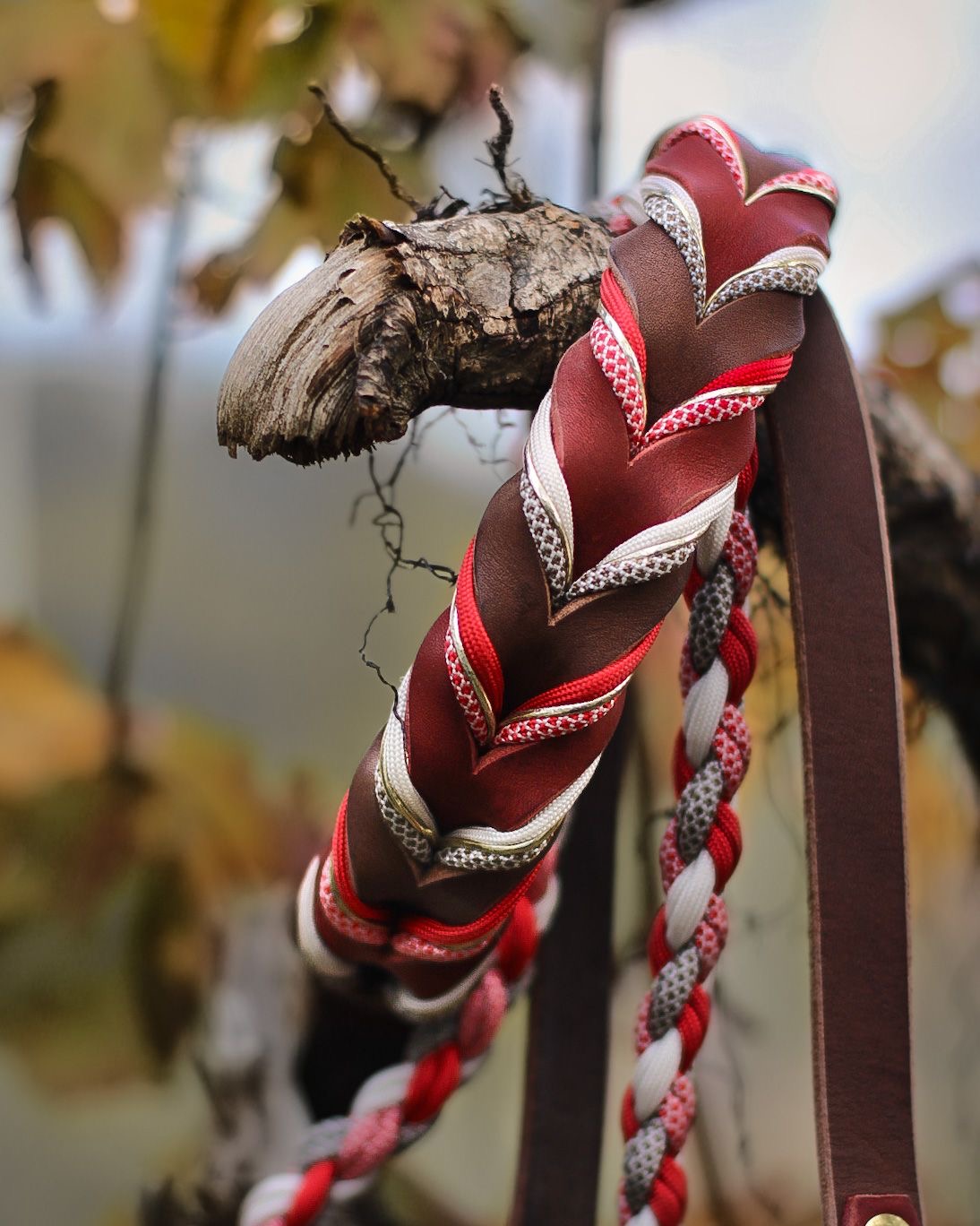Red Autumn