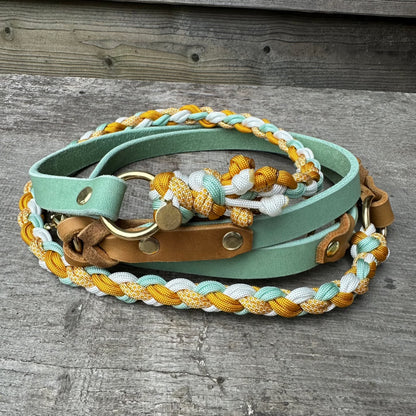 Leine Leder/Paracord