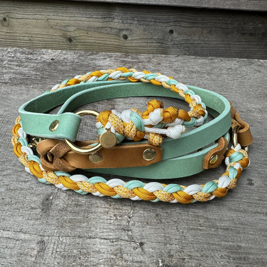 Leine Leder/Paracord