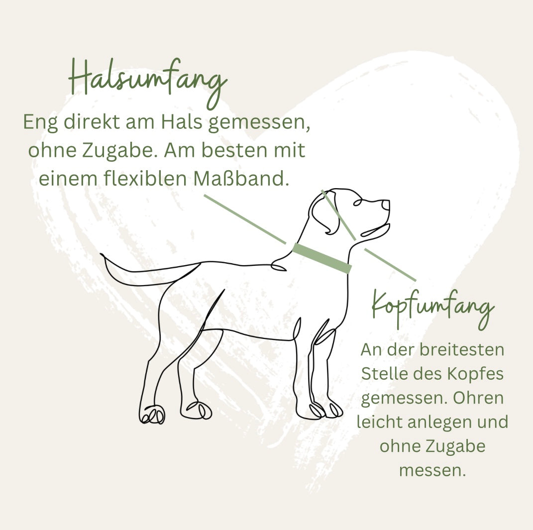 Gelb - Regenbogen