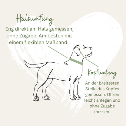 Gelb - Regenbogen