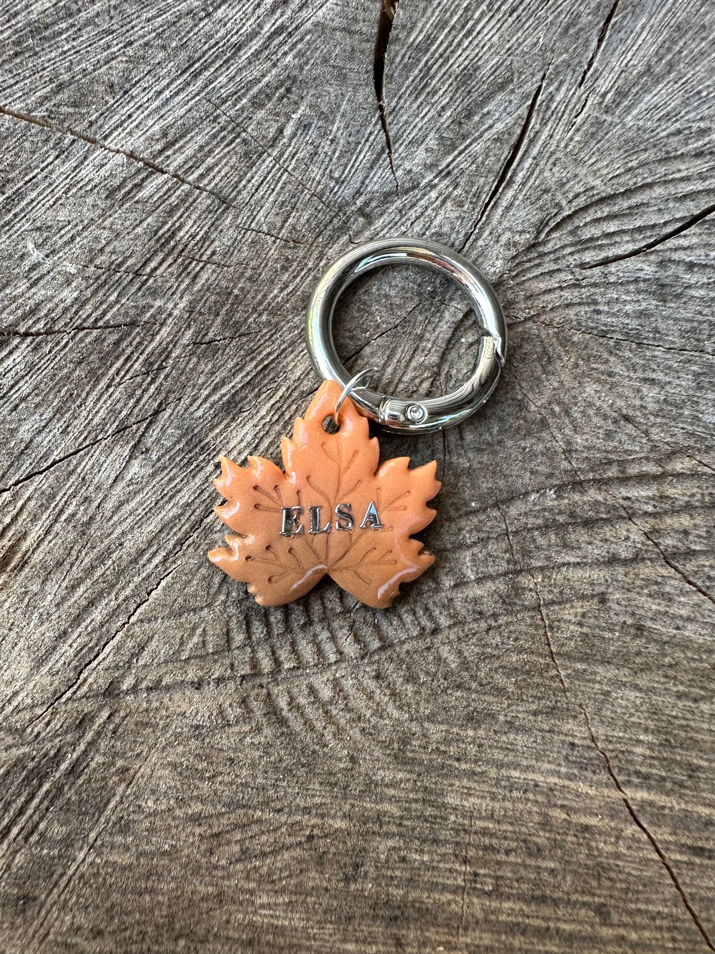 Hundemarke Herbstedition