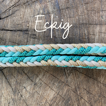 Leine Leder/Paracord